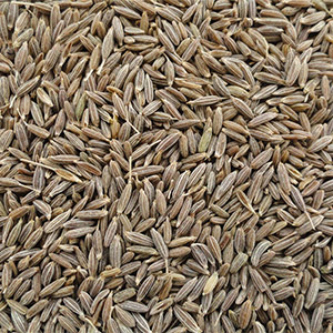 Cumin Seeds
